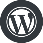 Wordpress Development Company